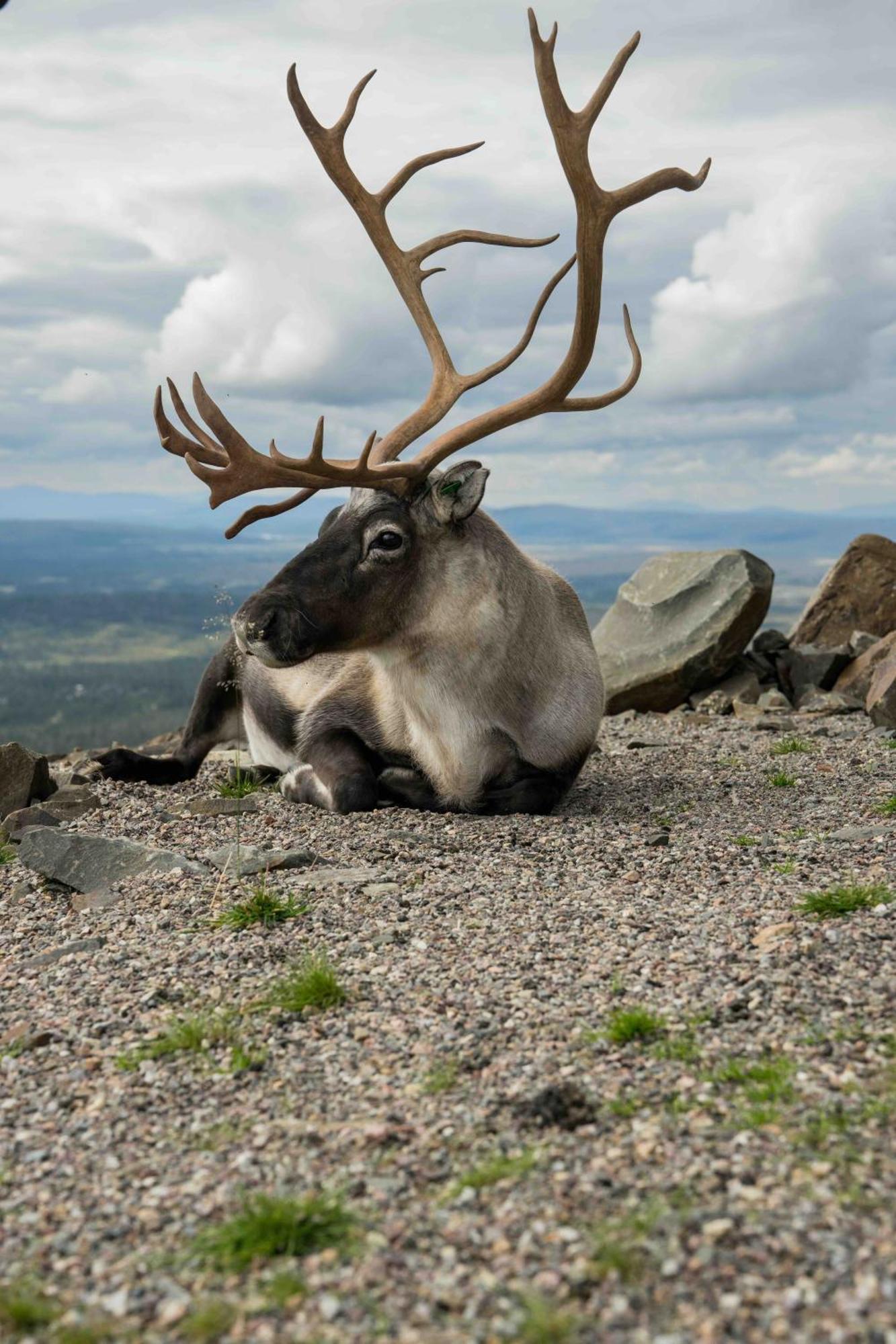 Nybyggd 8-Baeddars Skidstuga I Lofsdalen Exteriör bild